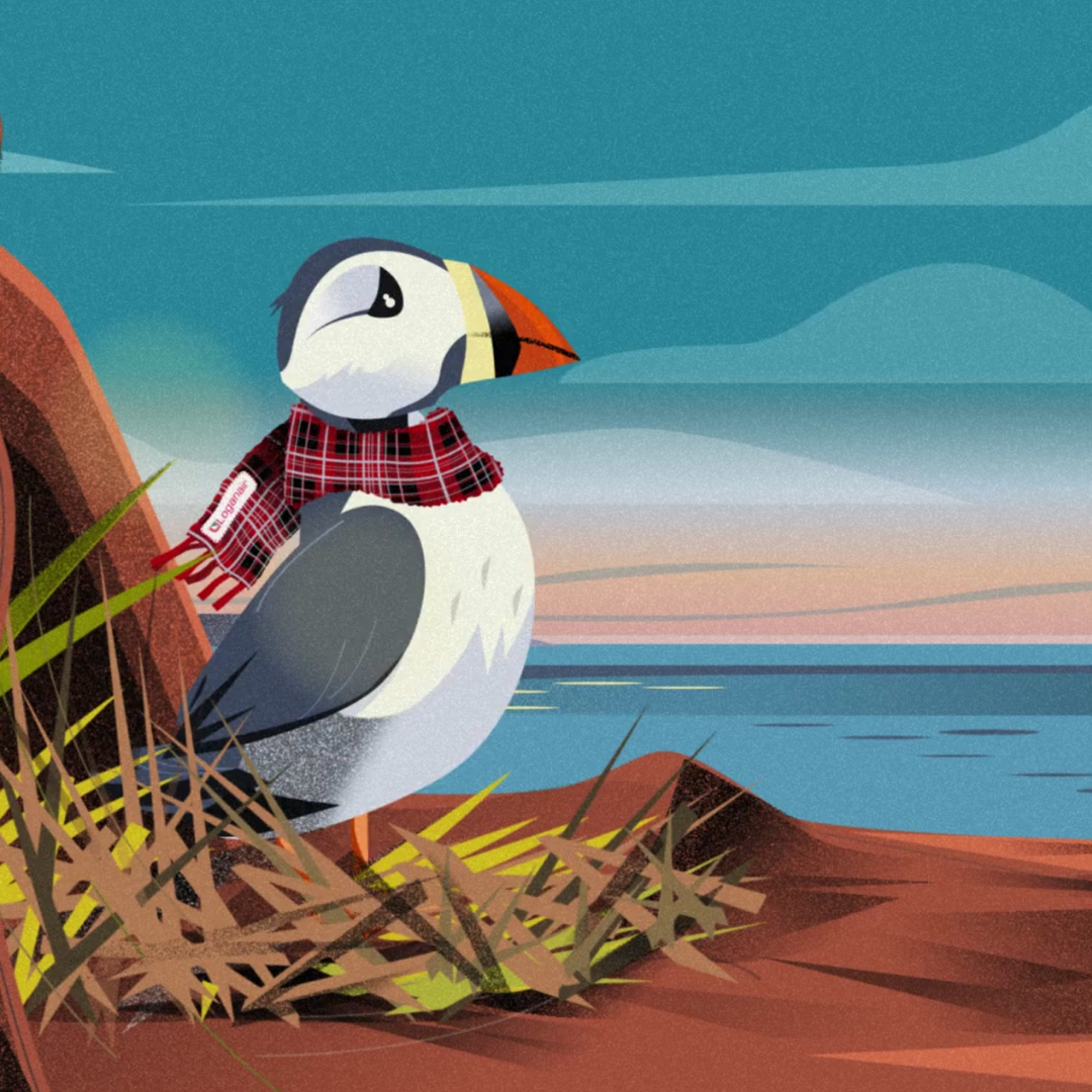 The Nest Puffin STILL 2
